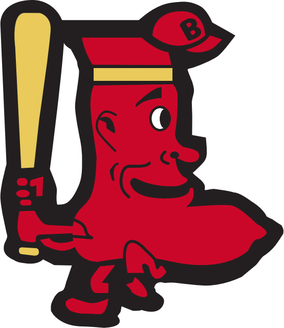 Boston Red Sox 1950-1959 Alternate Logo DIY iron on transfer (heat transfer)